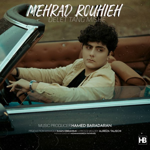 دانلود آهنگ دلت تنگ میشه